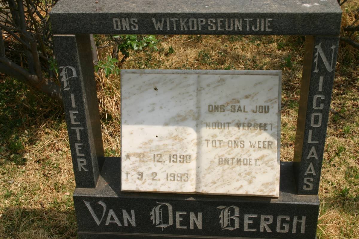 BERGH Pieter Nicolaas, van den 1990-1993