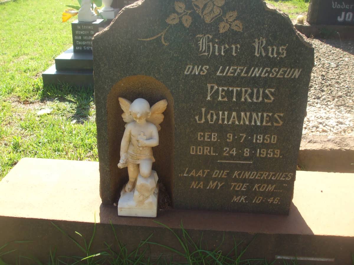 BERG Petrus Johannes, van den 1950-1959