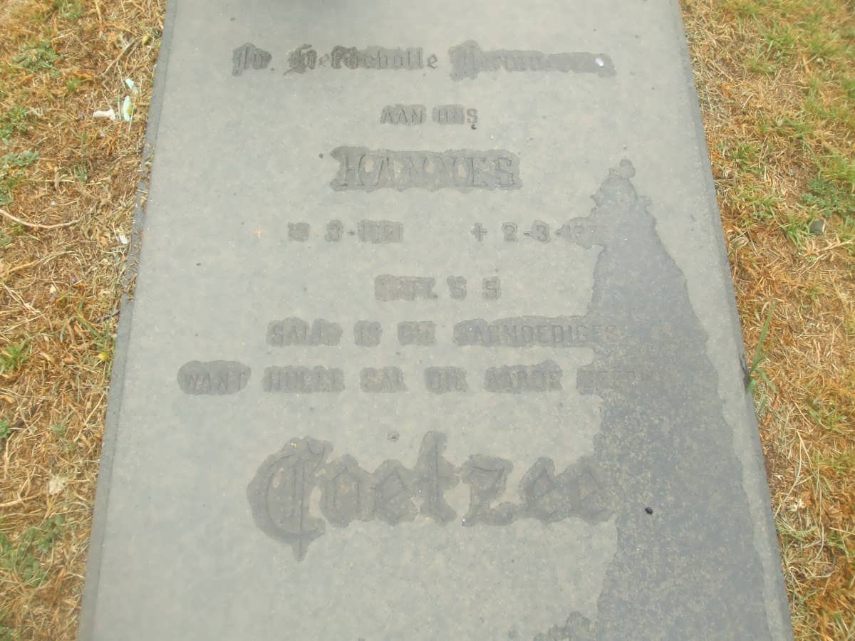 COETZEE Hannes 1921-1978
