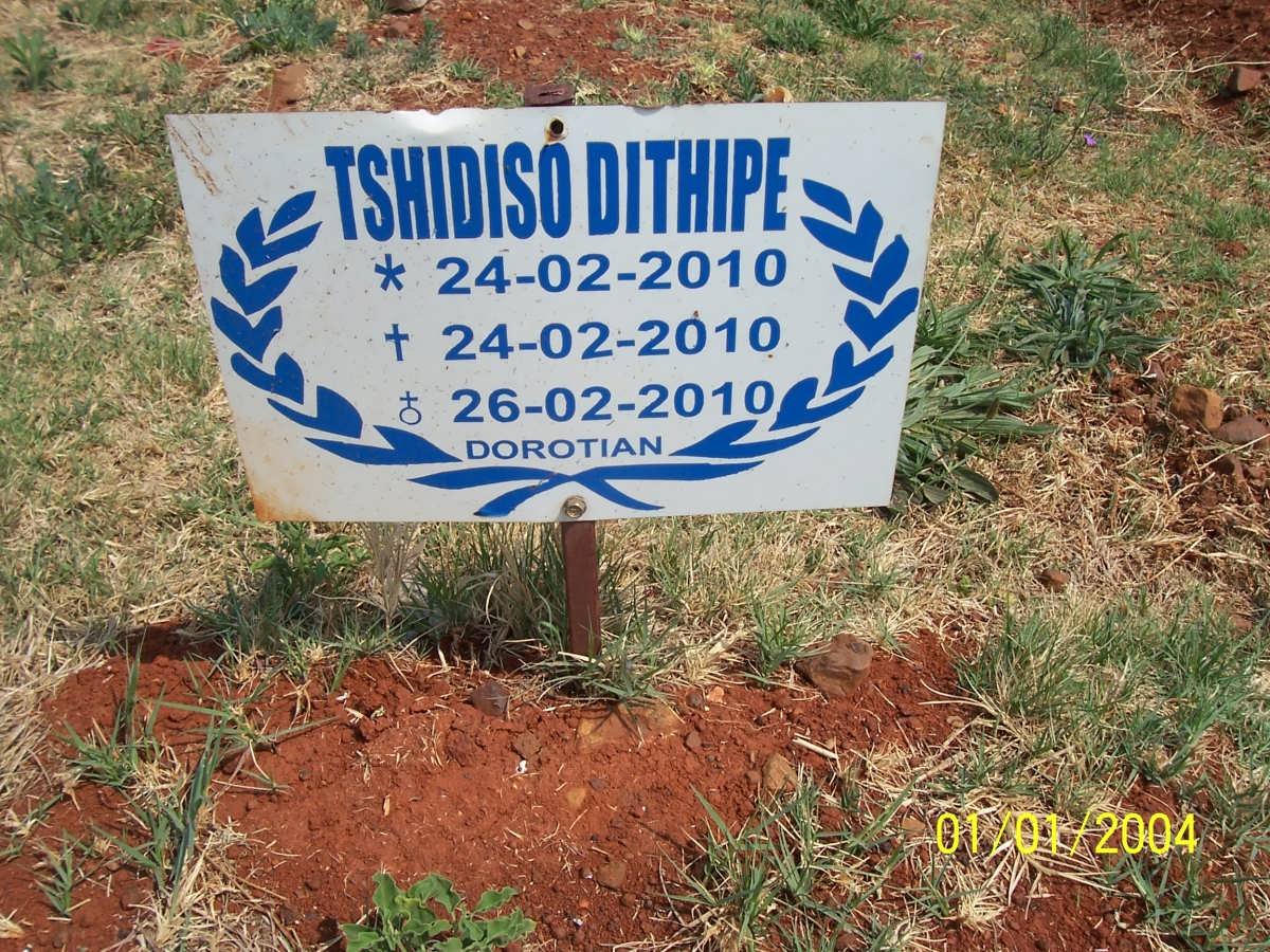 DITHIPE Tshidiso 2010-2010