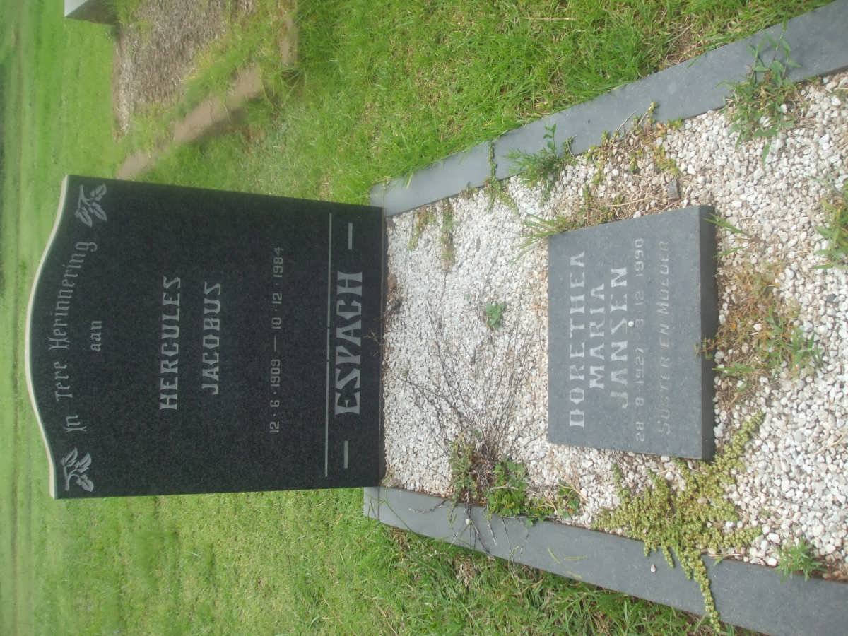 ESPACH Hercules Jacobus 1909-1984 :: JANSEN Dorethea Maria 1927-1990