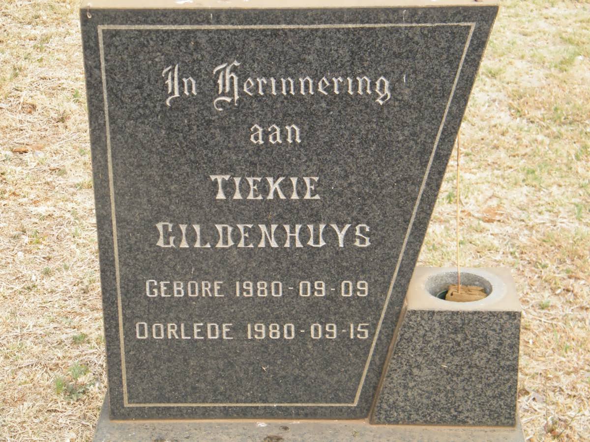 GILDENHUYS Tiekie 1980-1980