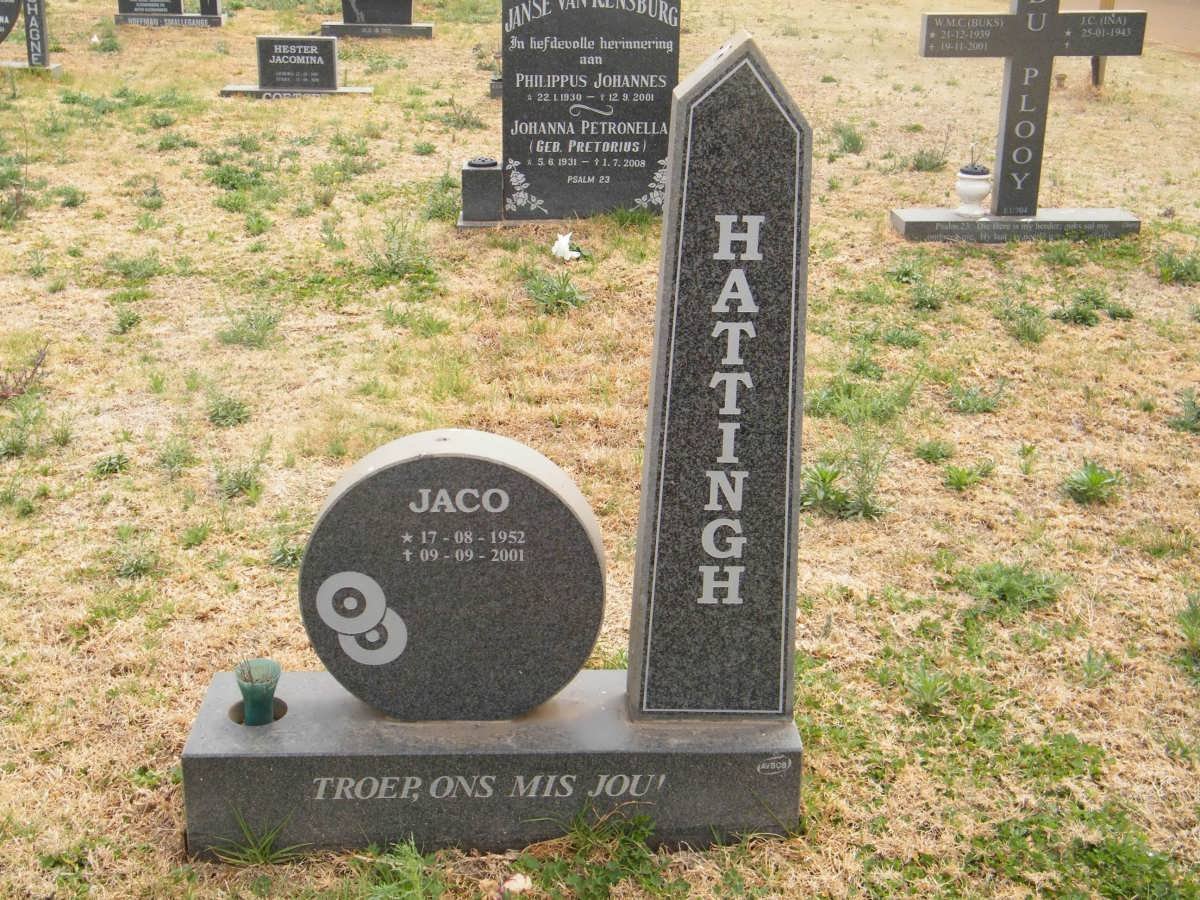 HATTINGH Jaco 1952-2001
