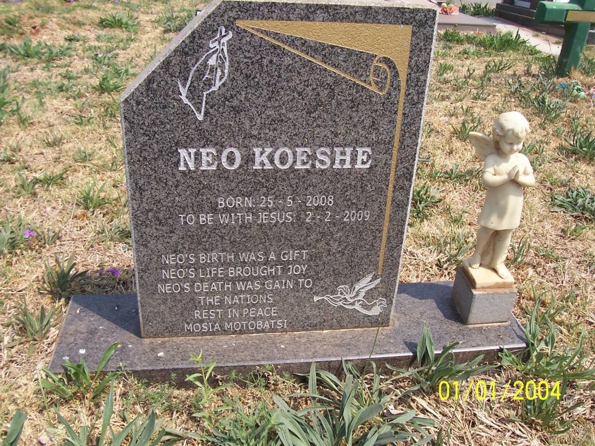 KOESHE Neo 2008-2009