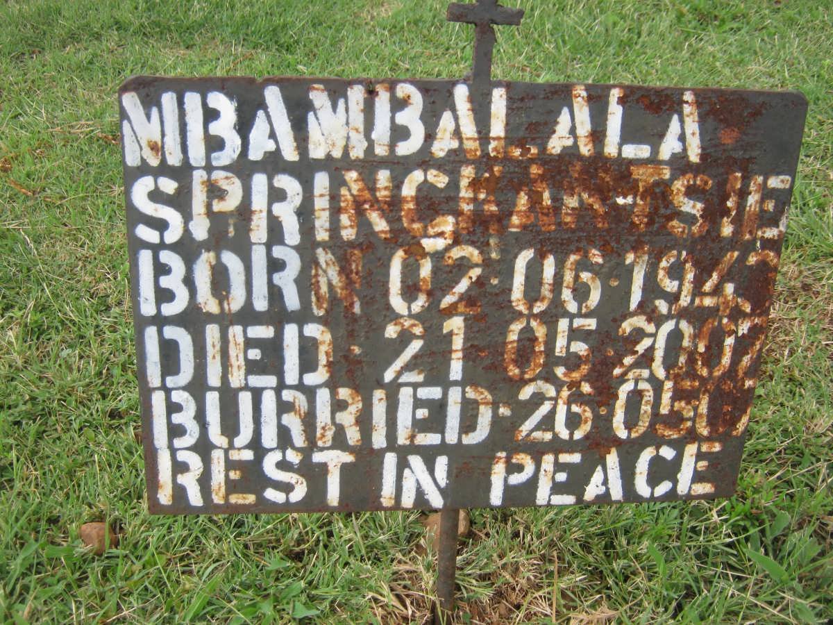 MBAMBALALA Springkatsie 1943-2002