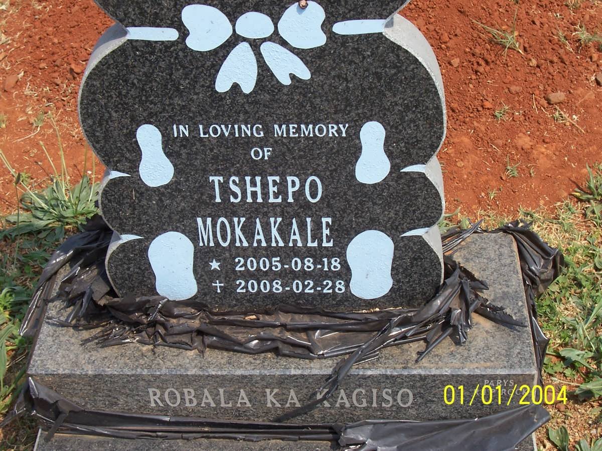 MAKAKALE Tshepo 2005-2008