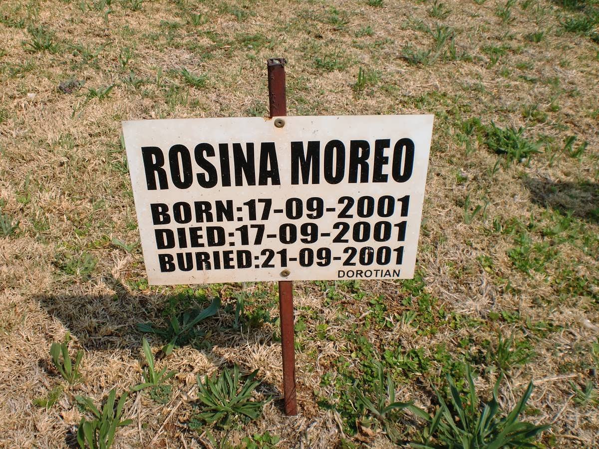 MOREO Rosina 2001-2001
