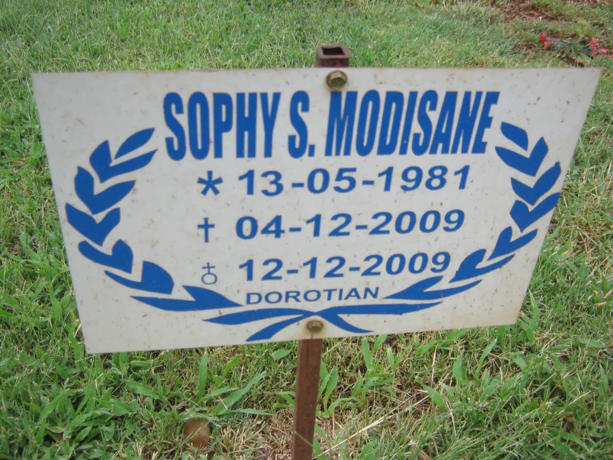 MODISANE Sophy S. 1981-2009