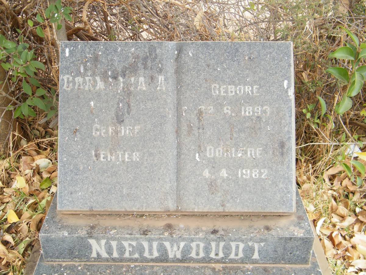 NIEUWOUDT Cornelia A. nee VENTER 1893-1982