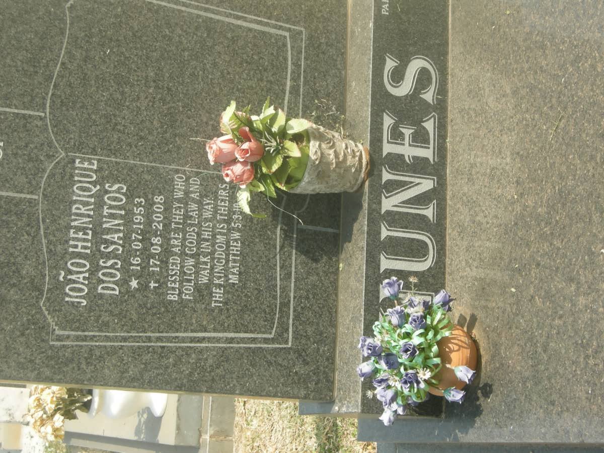 NUNES João Hendrique Dos Santos 1953-2008