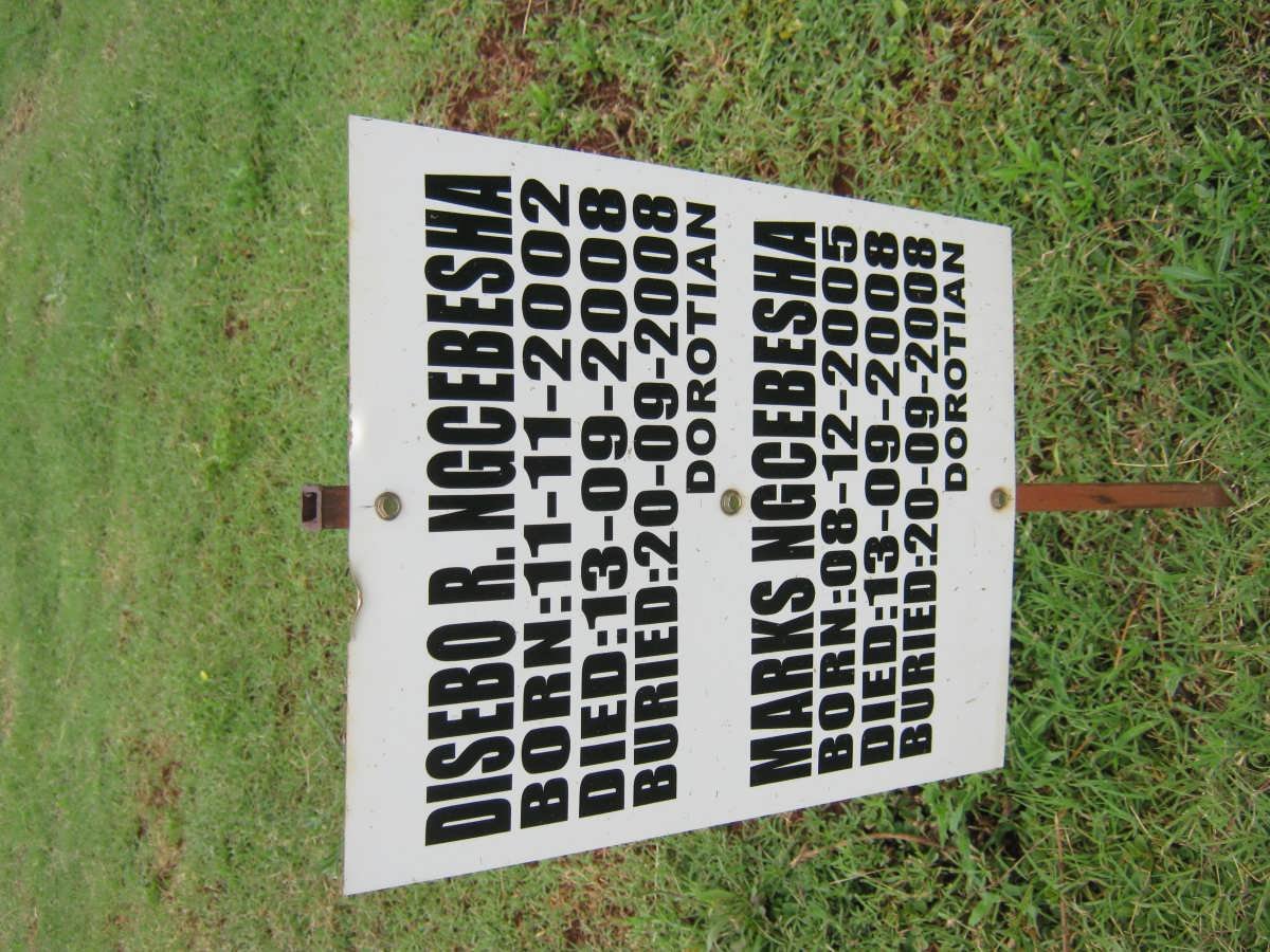 NGCEBESHA Disebo R. 2002-2008 :: NGCEBESHA Marks 2005-2008