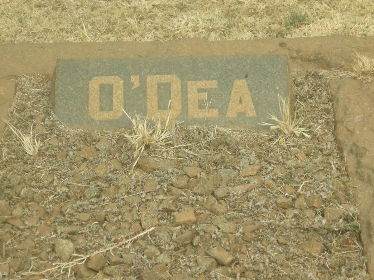 O'DEA ?