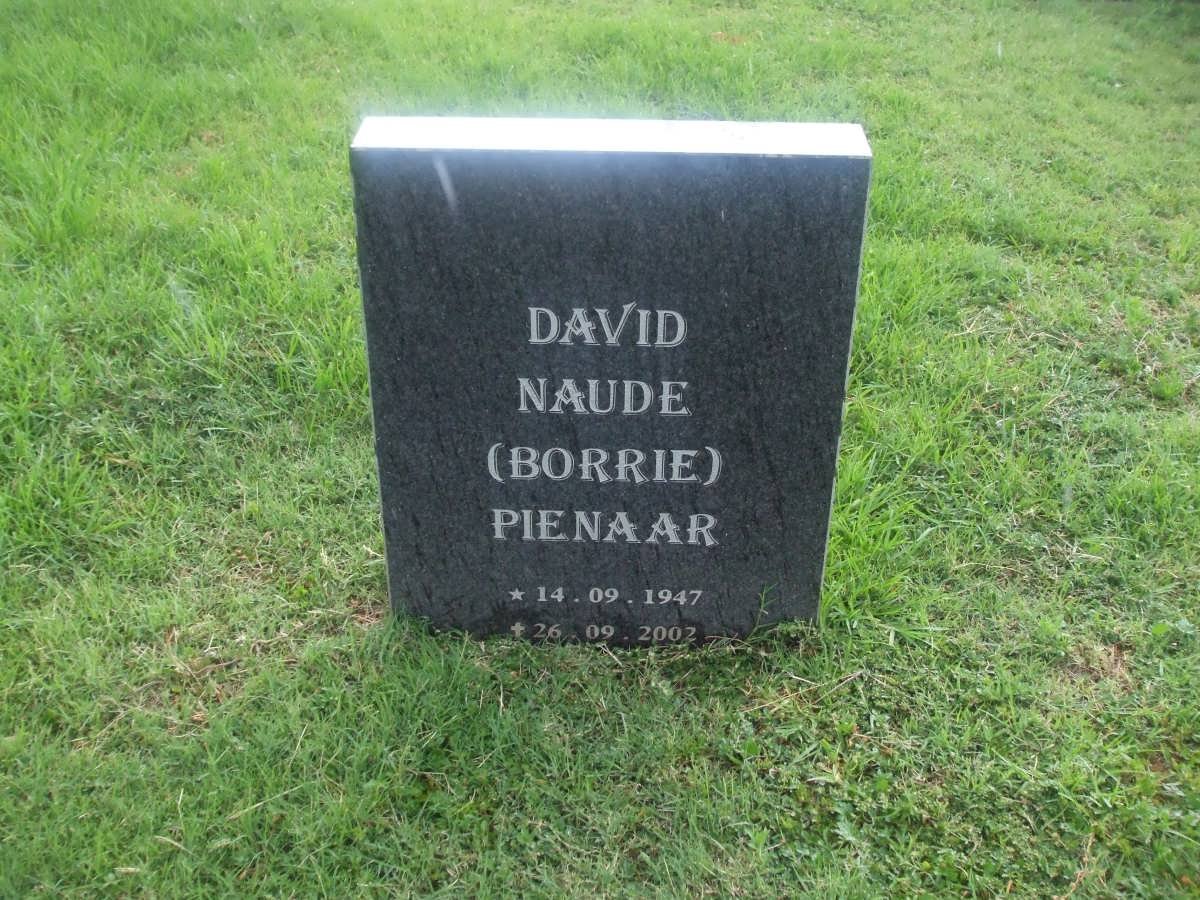 PIENAAR David Naude 1947-2002
