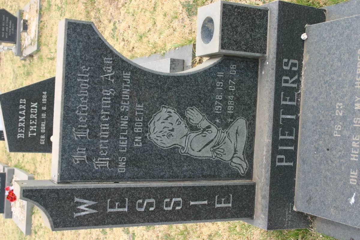 PIETERS Wessie 1978-1984