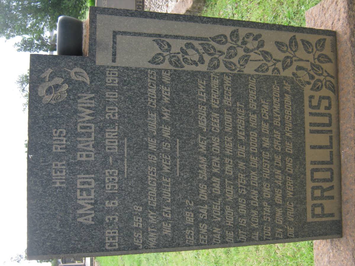 PROLLIUS Amedi Baldwin 1933-1961