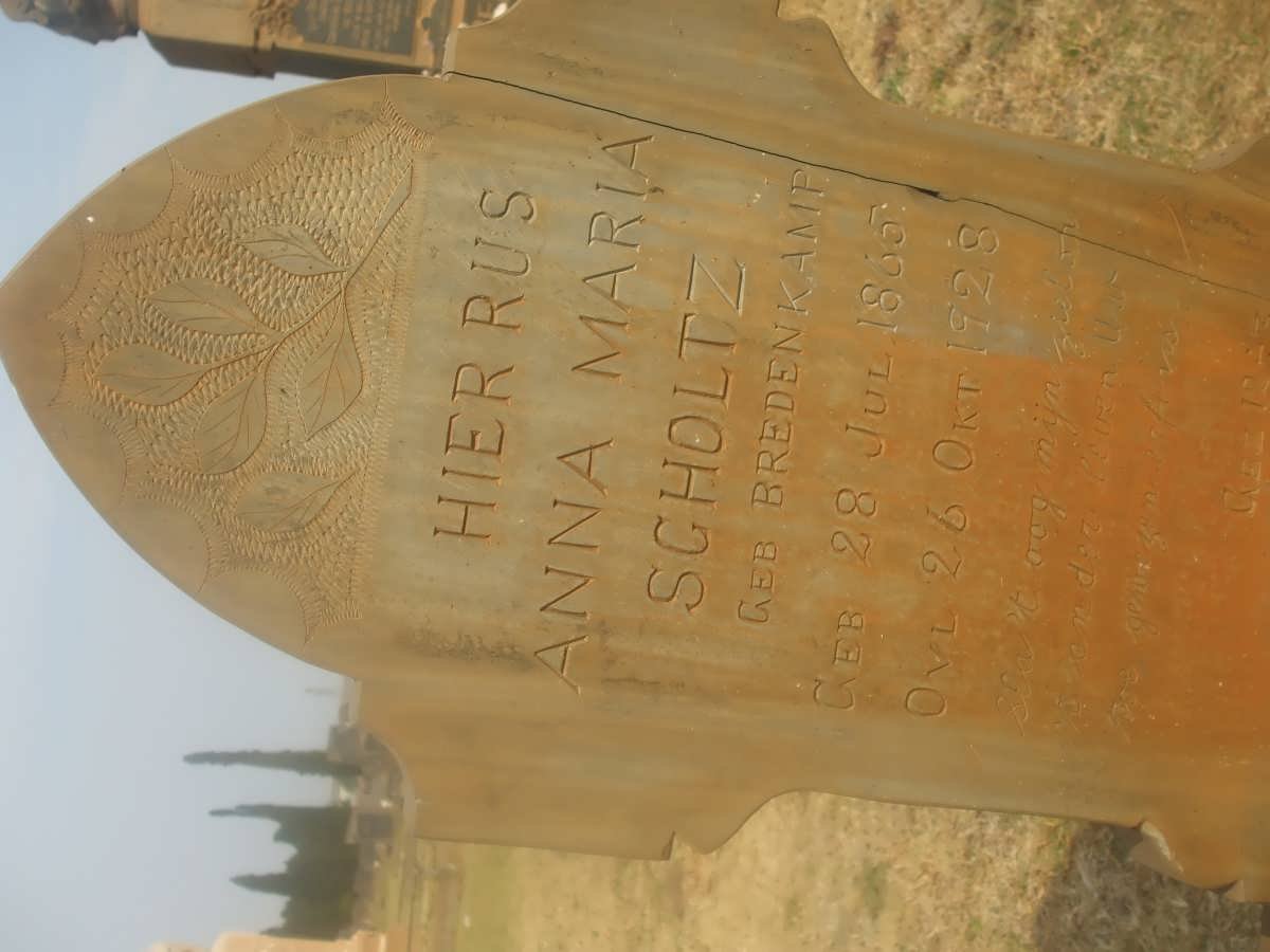 SCHOLTZ Anna Maria nee BREDENKAMP 1865-1928