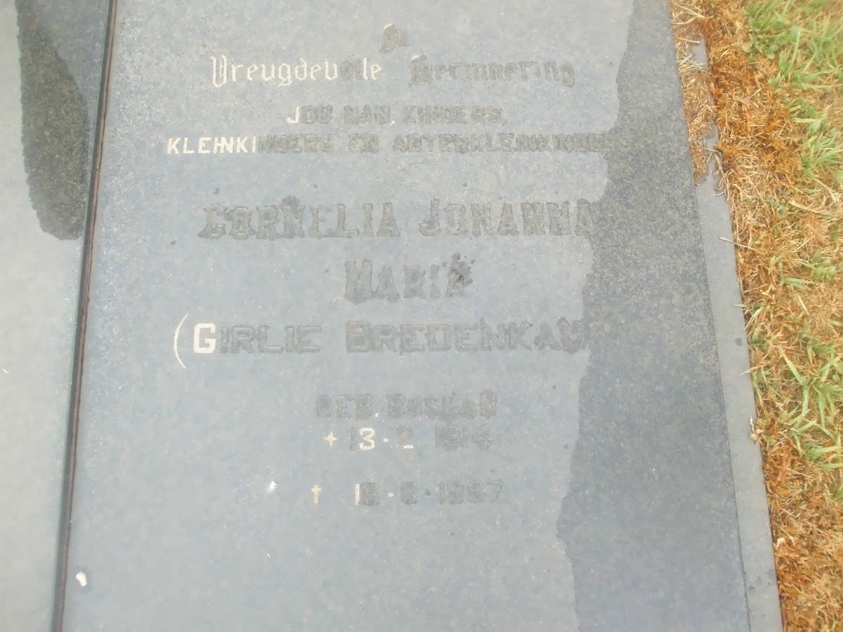 SMITH Cornelia Johanna Maria formerly BREDENKAMP nee BOSMAN 1924-19?7