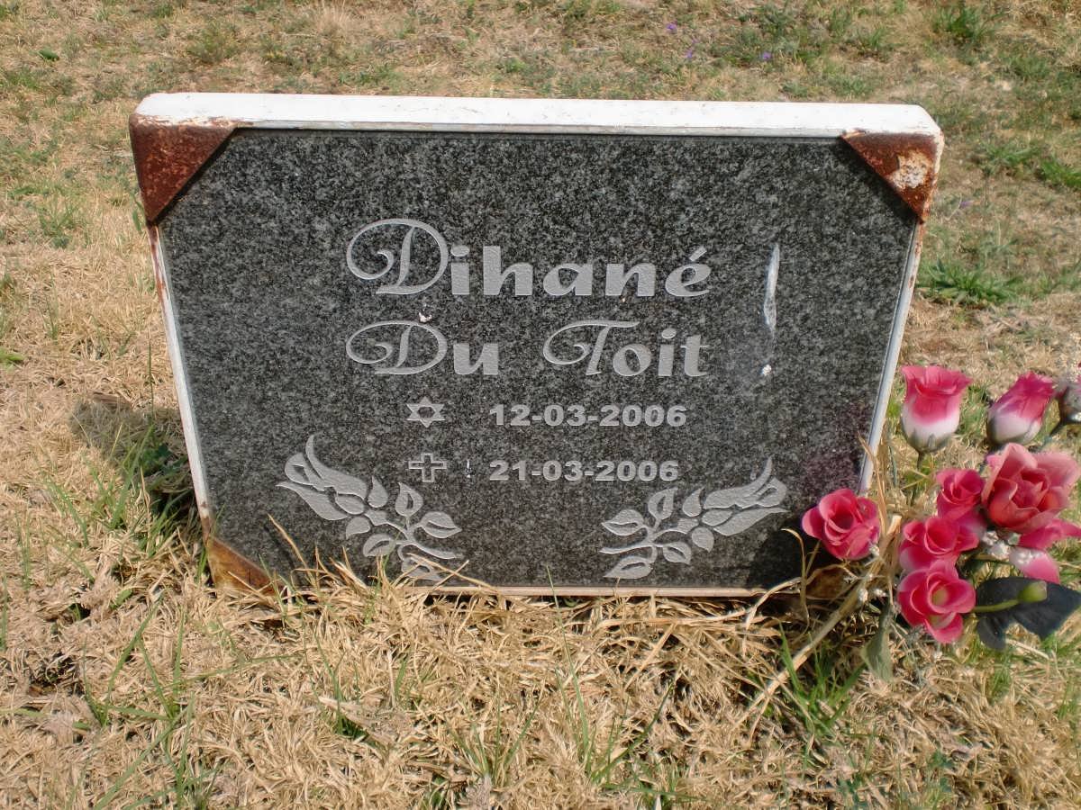 TOIT Dihané, du 2006-2006