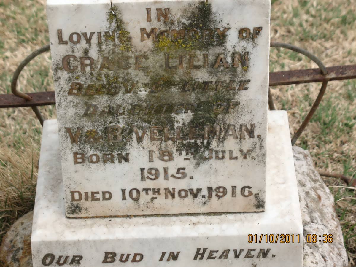 VELLEMAN Grace Lilian 1915-1916