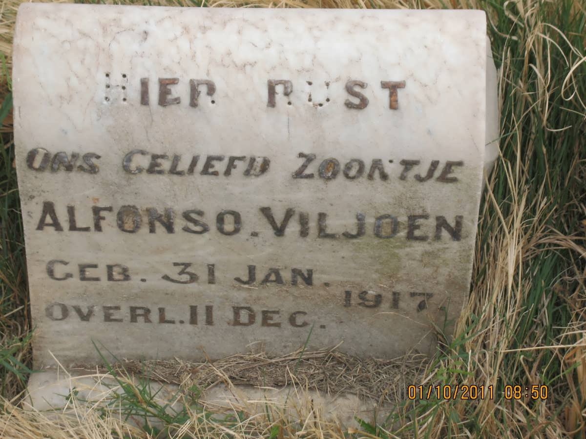 VILJOEN Alfonso 1917-1917