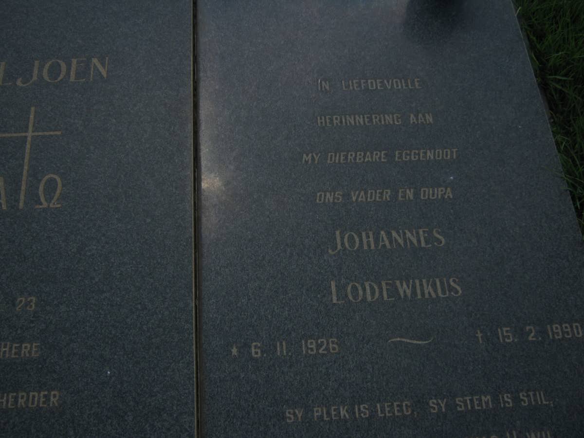 VILJOEN Johannes Lodewikus 1926-1990