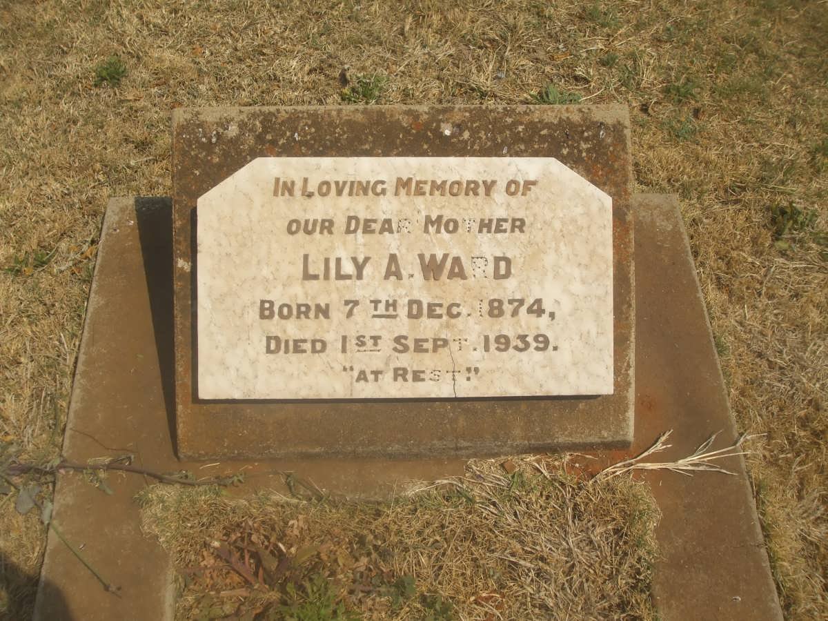 WARD Lily A. 1874-1939