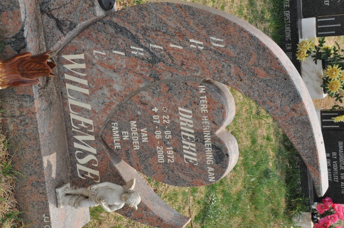 WILLEMSE Driekie 1972-2000