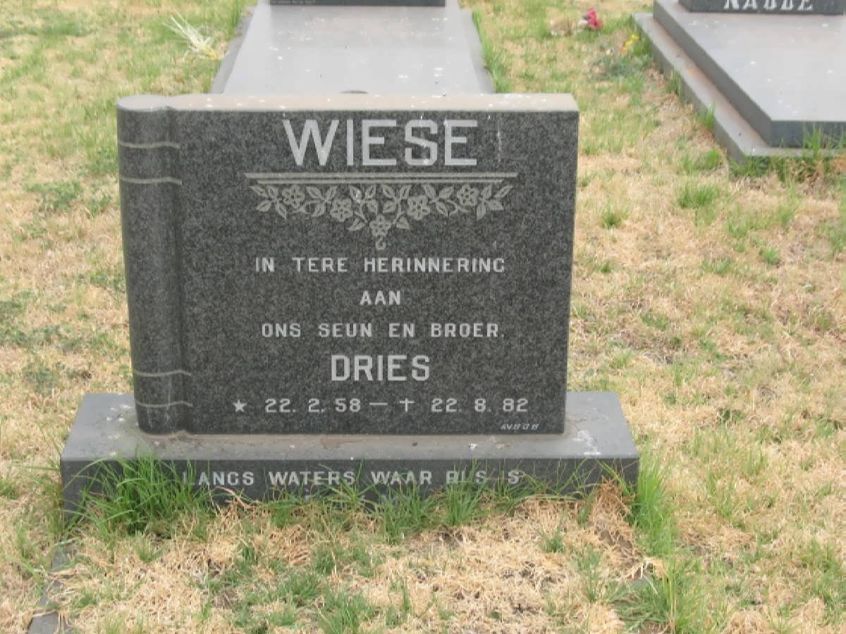 WIESE Dries 1958-1982