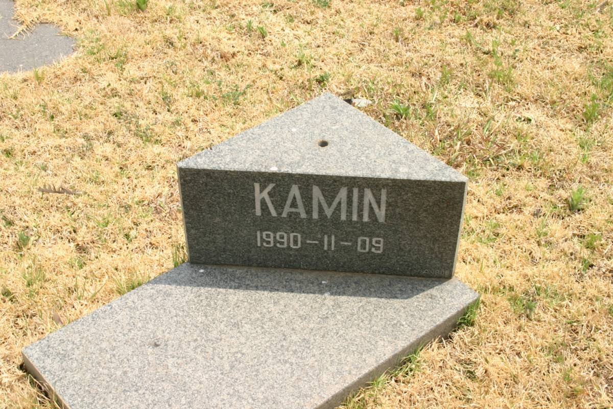 ZYL Kamin, van -1990