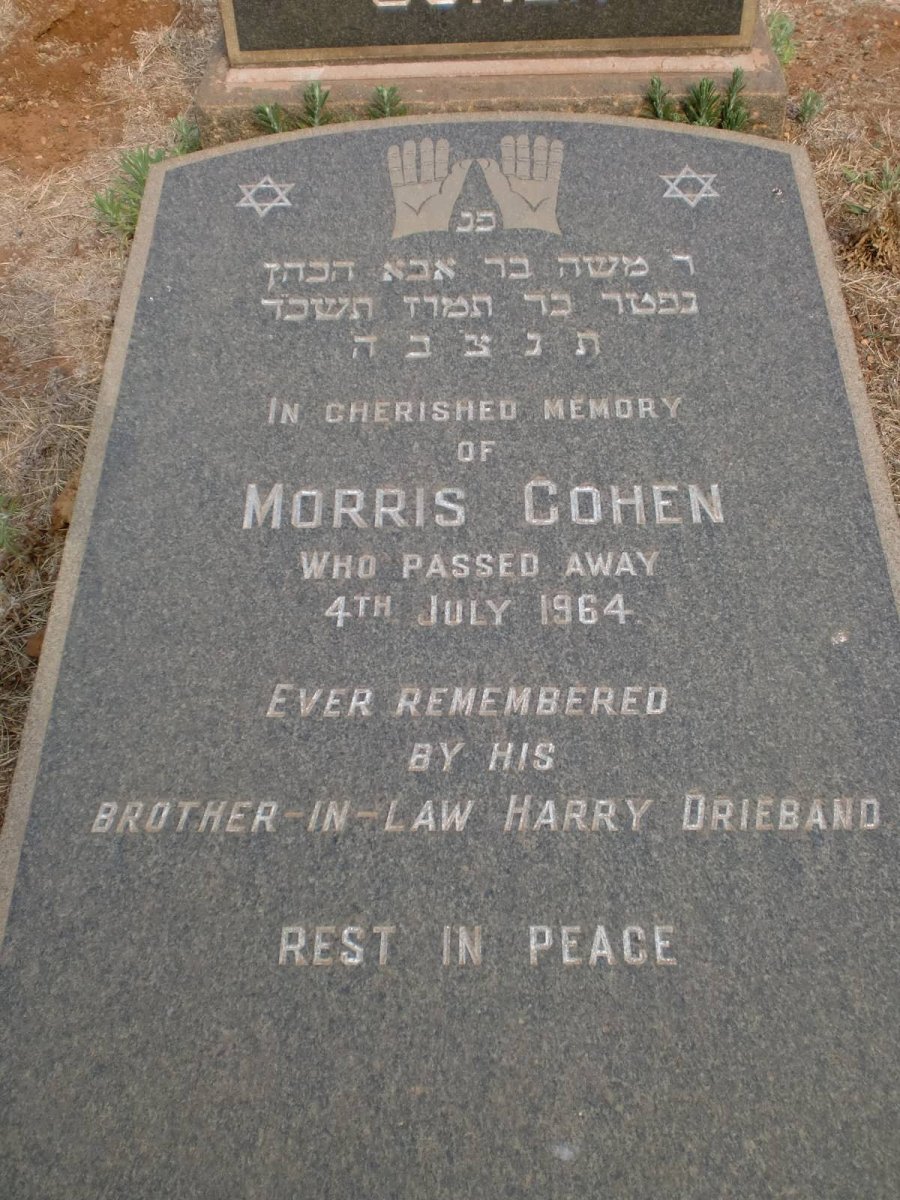 COHEN Morris -1964