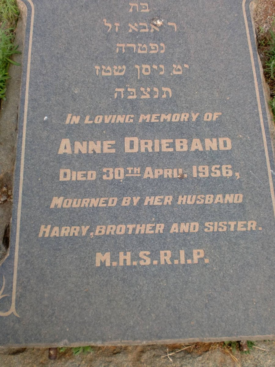 DRIEBAND Anne -1956
