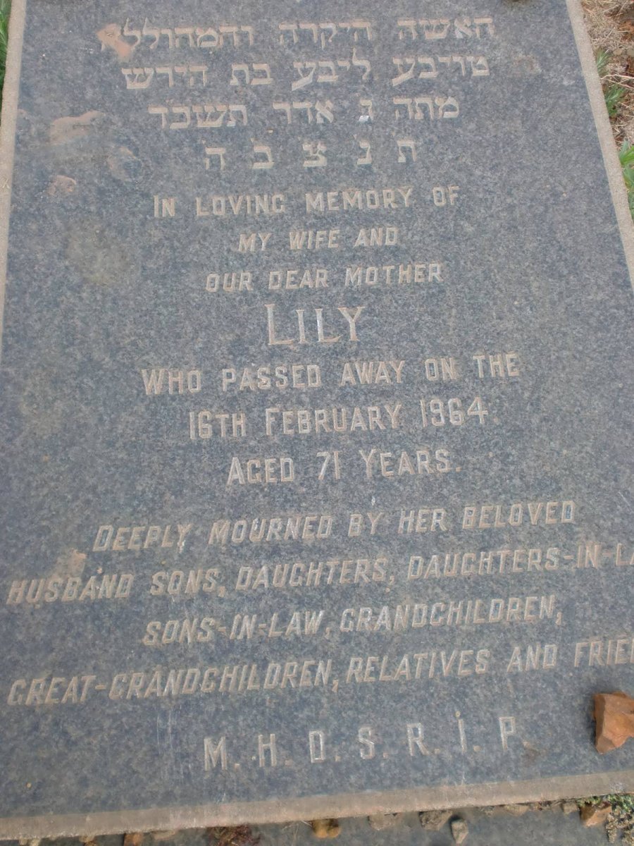 MILLER Lily nee ABELMAN -1964