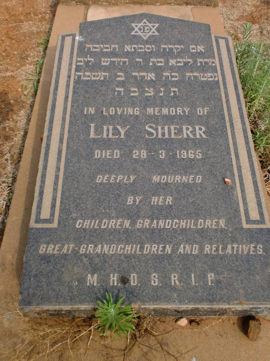 SHERR Lily -1965