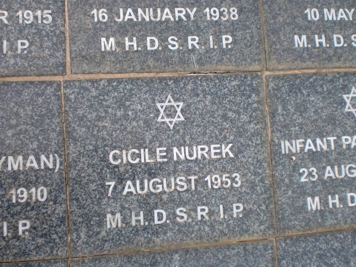 NUREK Cicile -1953