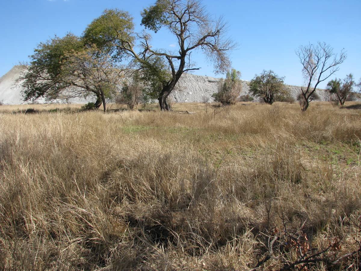 2. Overview
