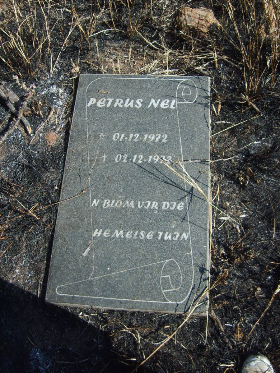 NEL Petrus 1972-1972