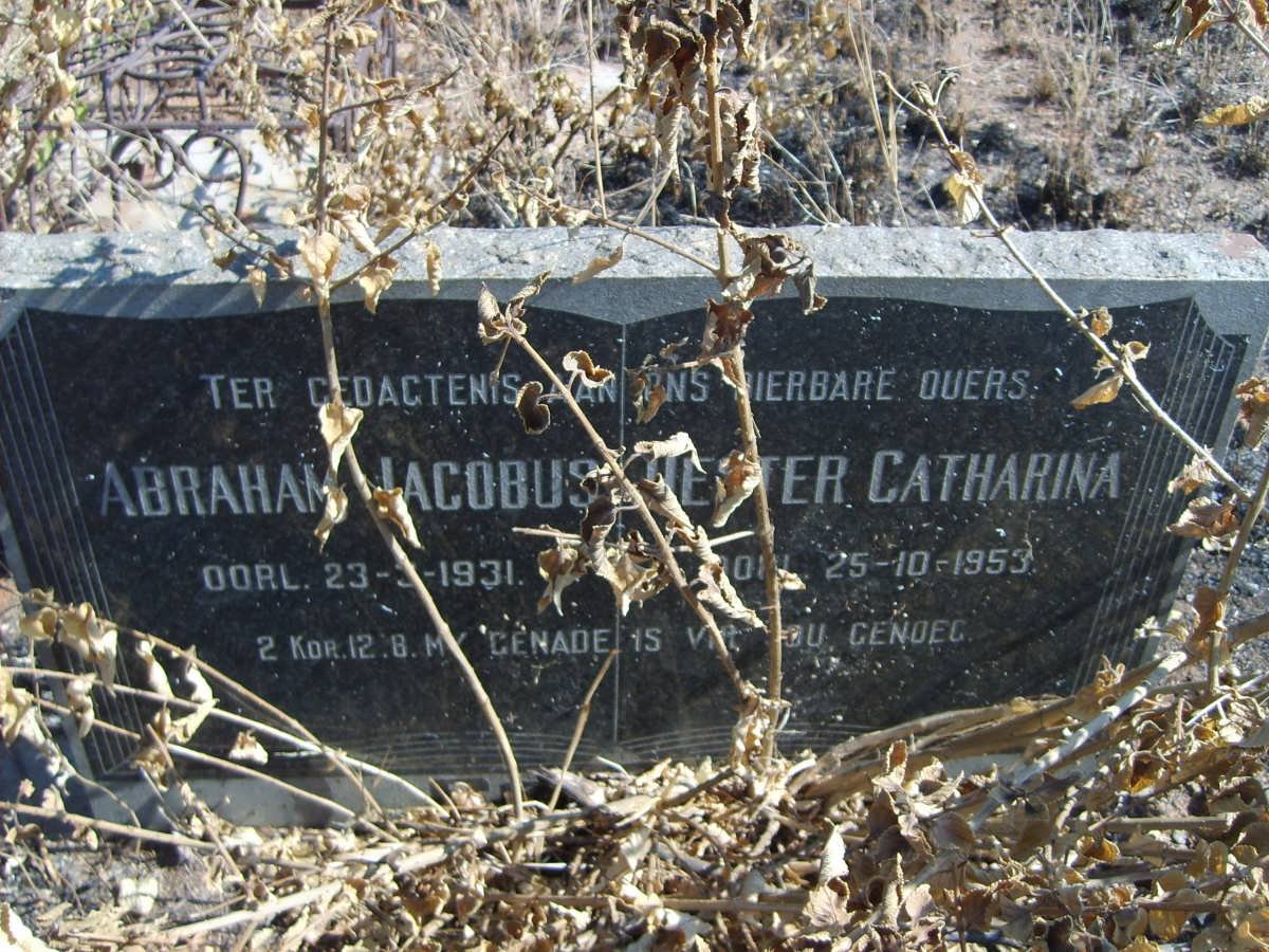 ? Abraham Jacobus -1931 &amp; Hester Catharina -1953
