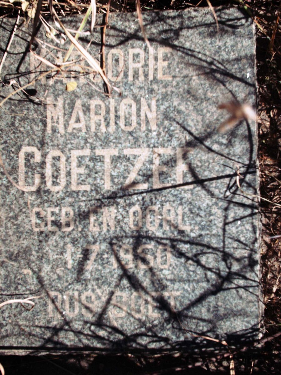 COETZEE Marjorie Marion 1950-1950