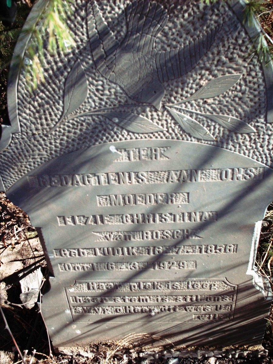 BOSCH Elsie Christina, van nee LUDIK 1856-1929