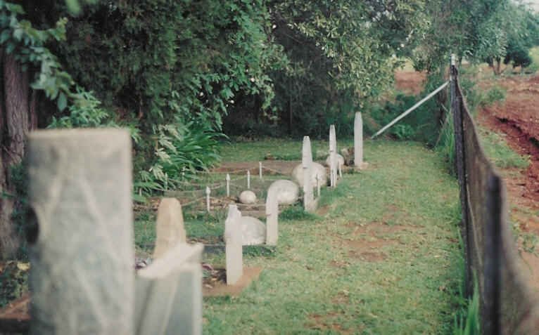 1. Overview