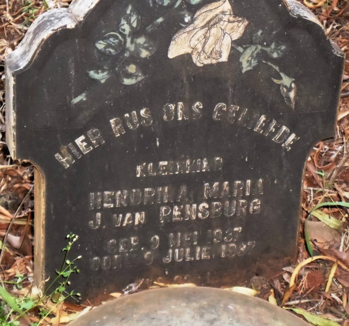 RENSBURG Hendrika Maria, J. van 1937-1937