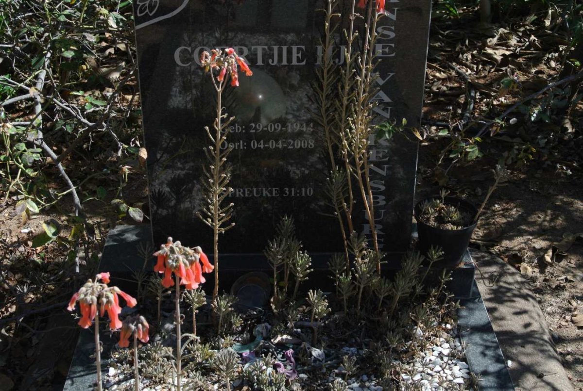 RENSBURG Coertjie H.J., Janse van 1944-2008