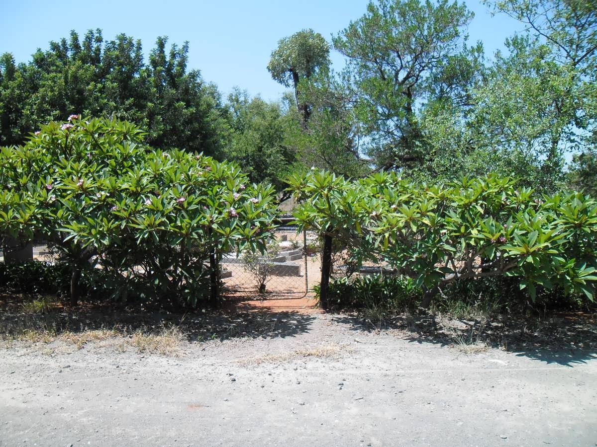 2. Entrance