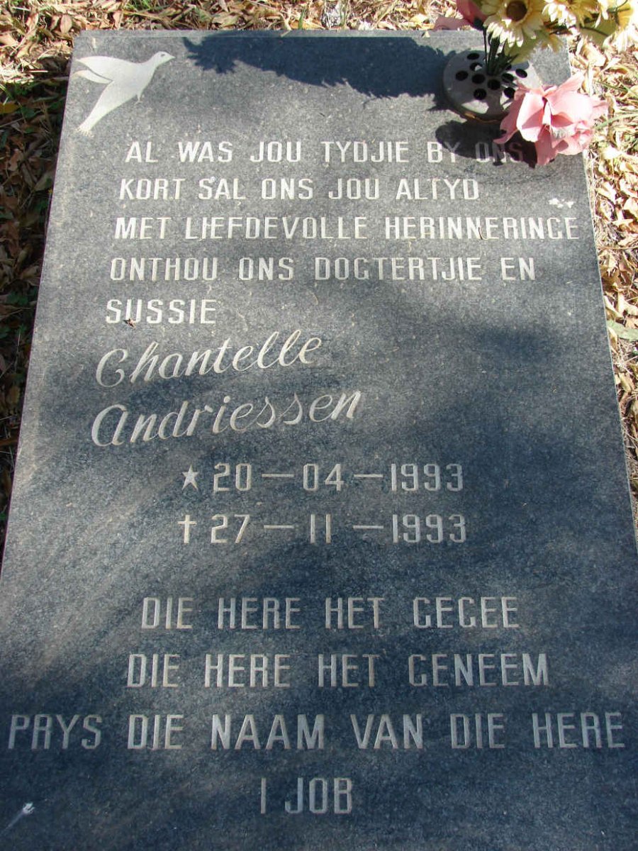 ANDRIESSEN Chantelle 1993-1993