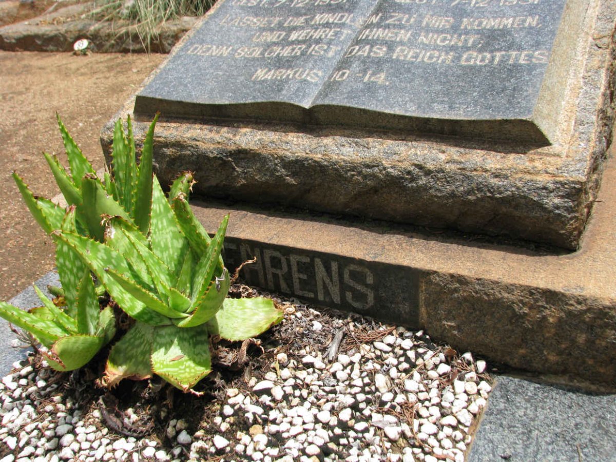 BEHRENS Roland 1951-1951 :: BEHRENS Carl Heinz 1951-1951
