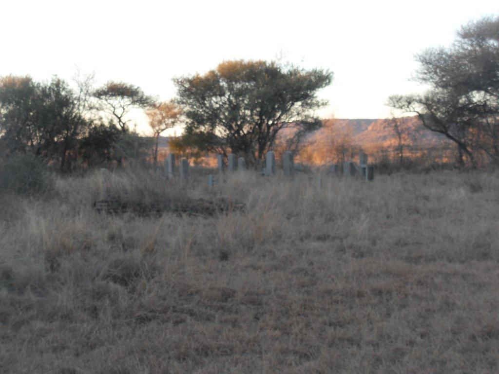 1. Overview