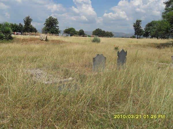 3. Overview