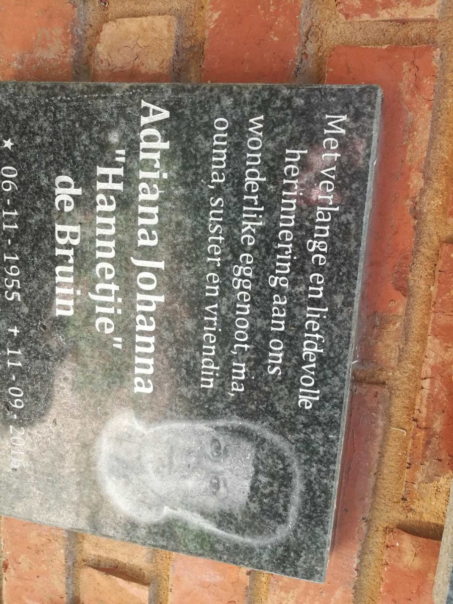 BRUIN Adriana Johanna, de 1955-2016