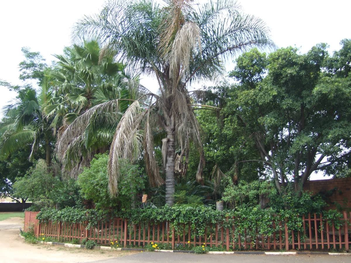 6. Overview