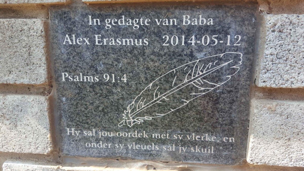 ERASMUS Alex -2014